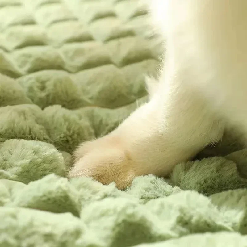 Detalle del tejido acolchado de la cama con la pata de un perro